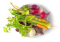Wholesale Fresh Origins Little Veggies Crudite Mix-50 CT Bulk