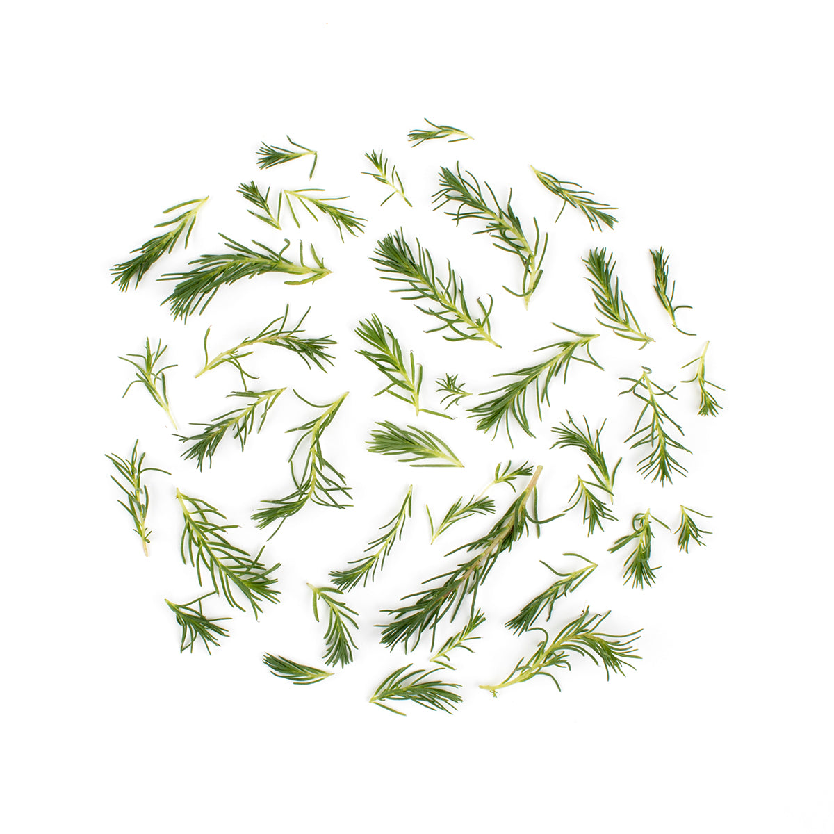 Wholesale Fresh Origins Micro Sea Grass 4 Oz Bag-4 OZ Bulk