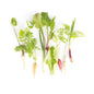 Wholesale Fresh Origins Tiny Crudite Mix- Bulk