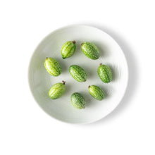 Wholesale Fresh Origins Tiny Veggies Cucumbers- Bulk