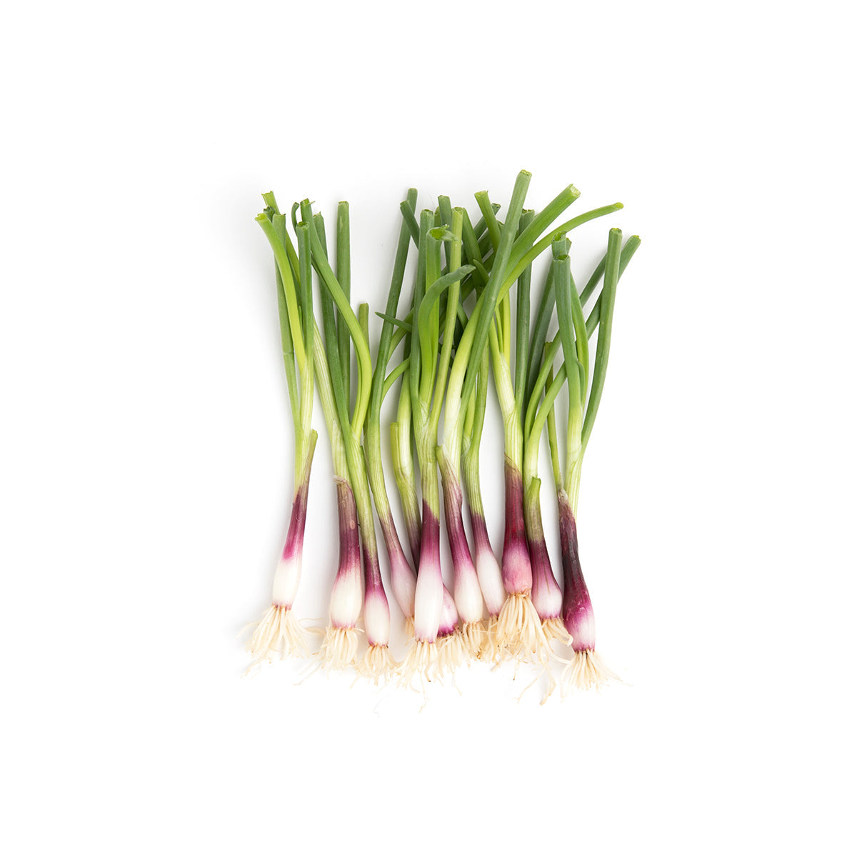 Fresh Origins Tiny Purple Onions