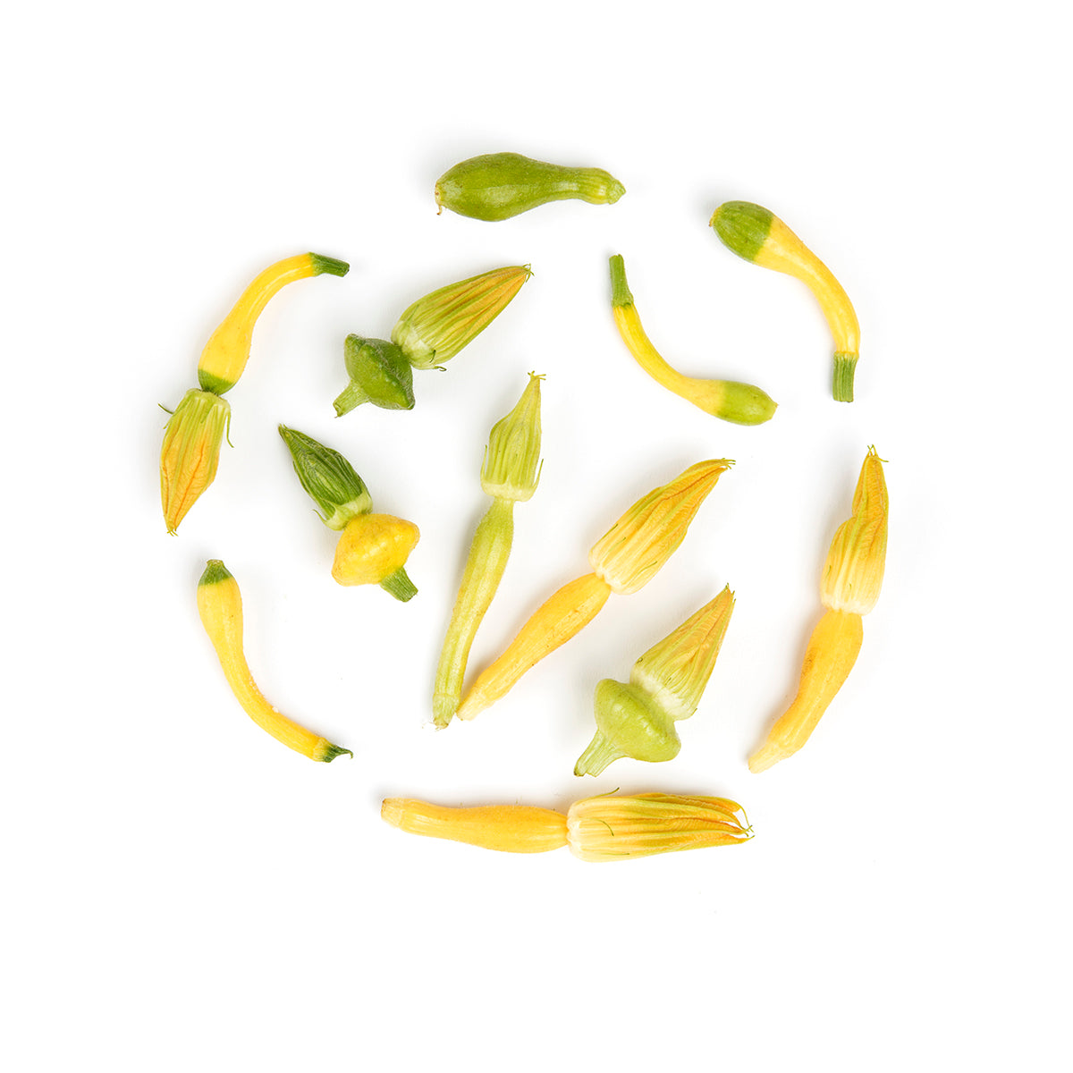 Wholesale Fresh Origins Petite Squash- Bulk