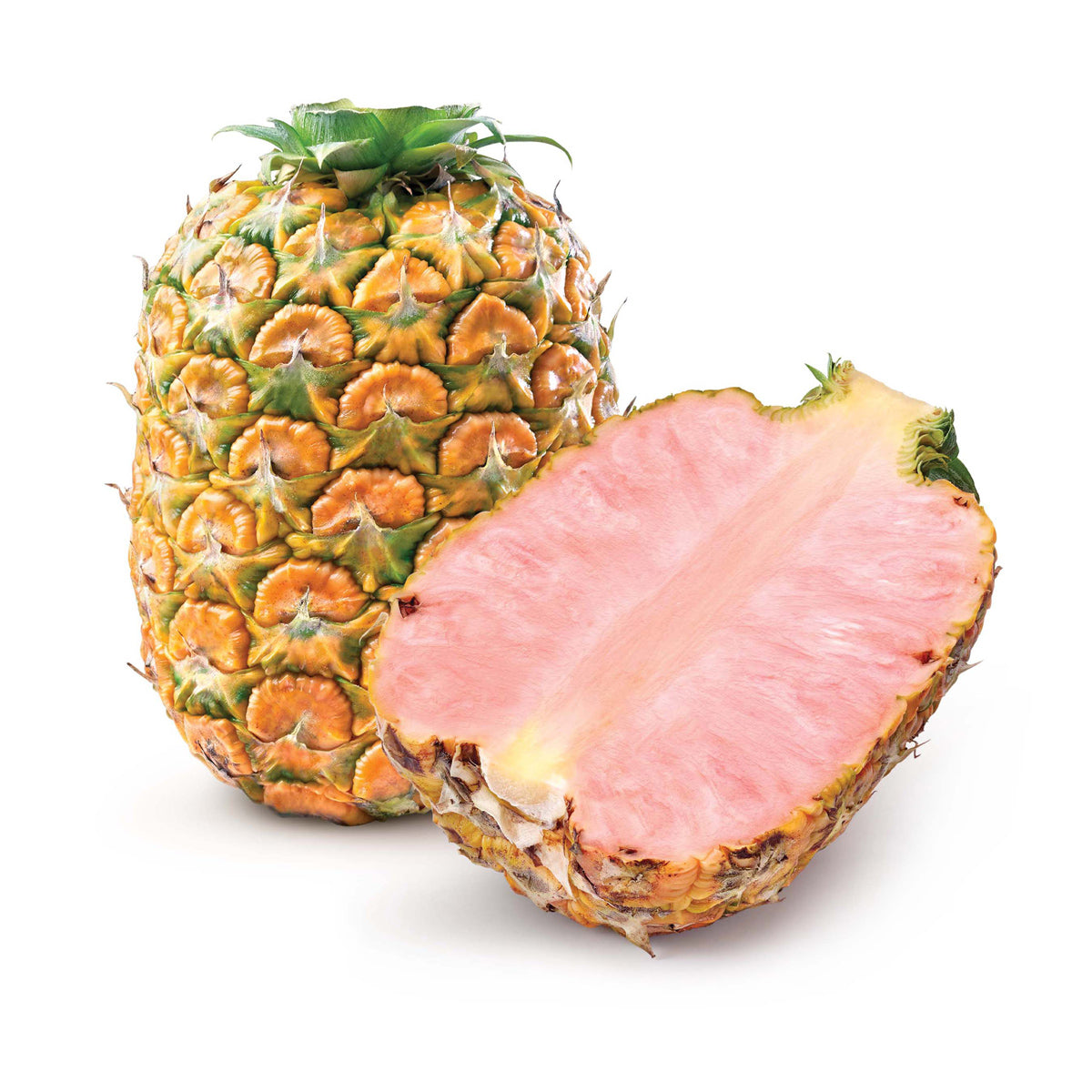 Pinkglow Pink Pineapples 6 Ct