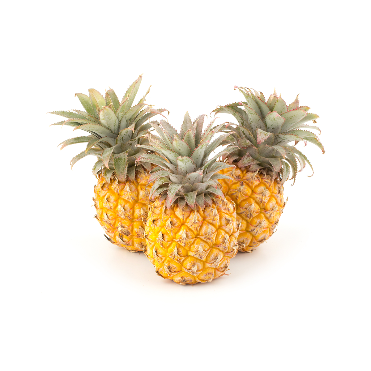 Wholesale BoxNCase Baby Pineapples-8-12 CT Bulk