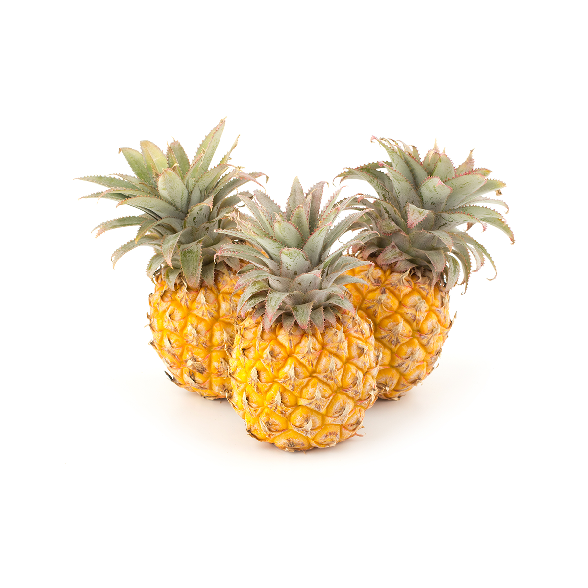 BoxNCase Baby Pineapples 8-12 Ct