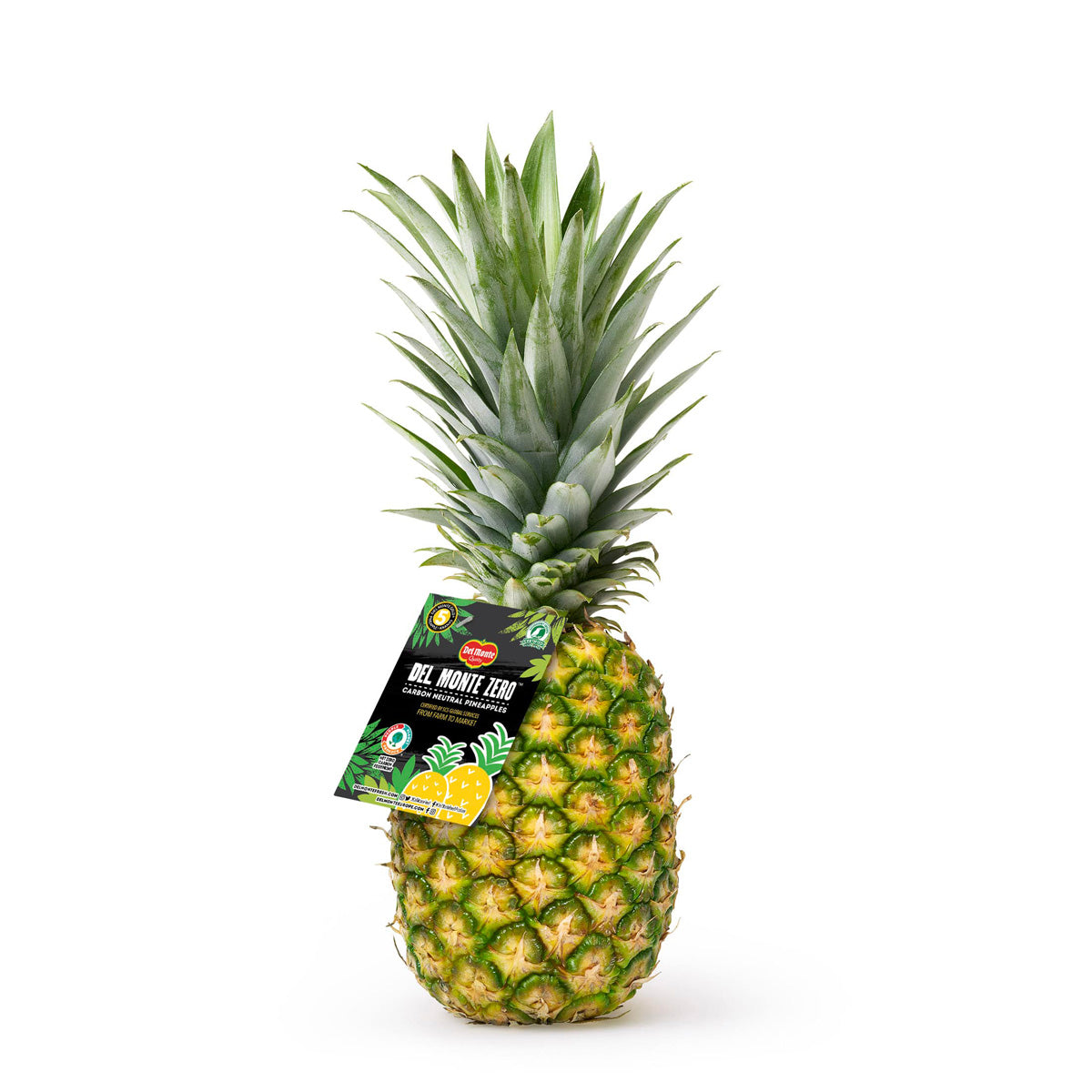 Wholesale Del Monte Zero Carbon Neutral Pineapples- Bulk