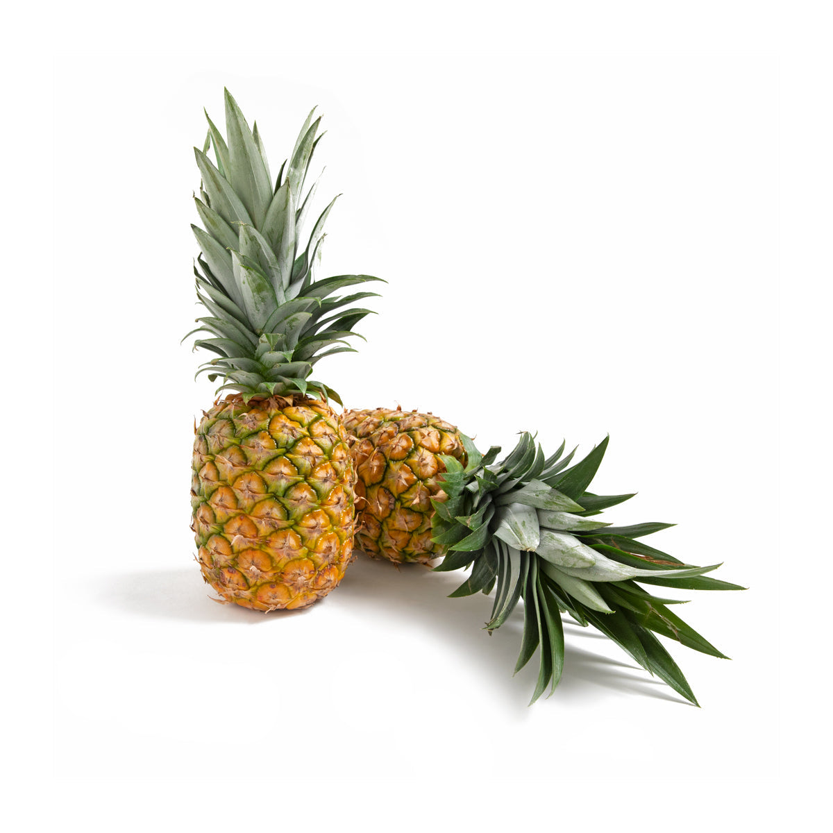 Wholesale Del Monte Honey Glow Pineapples-6 Ct Case Bulk