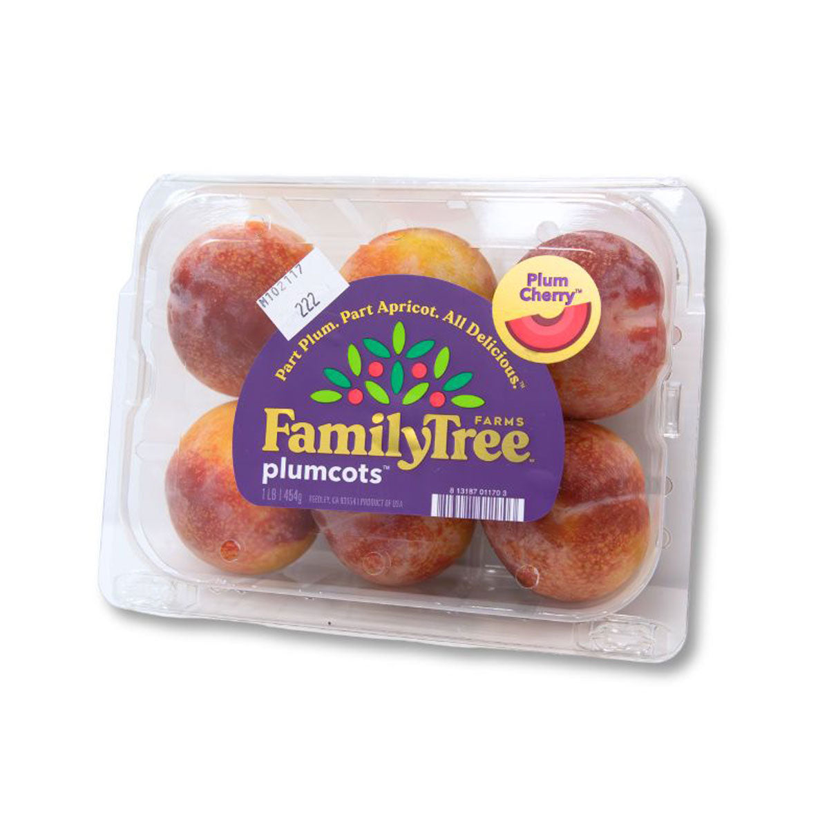 Wholesale Family Tree Farms Plum Cherry Plumcots 1 LB Box-16ct Case Bulk