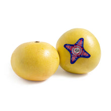 Wholesale BoxNCase Florida Starburst Pummelo- Bulk