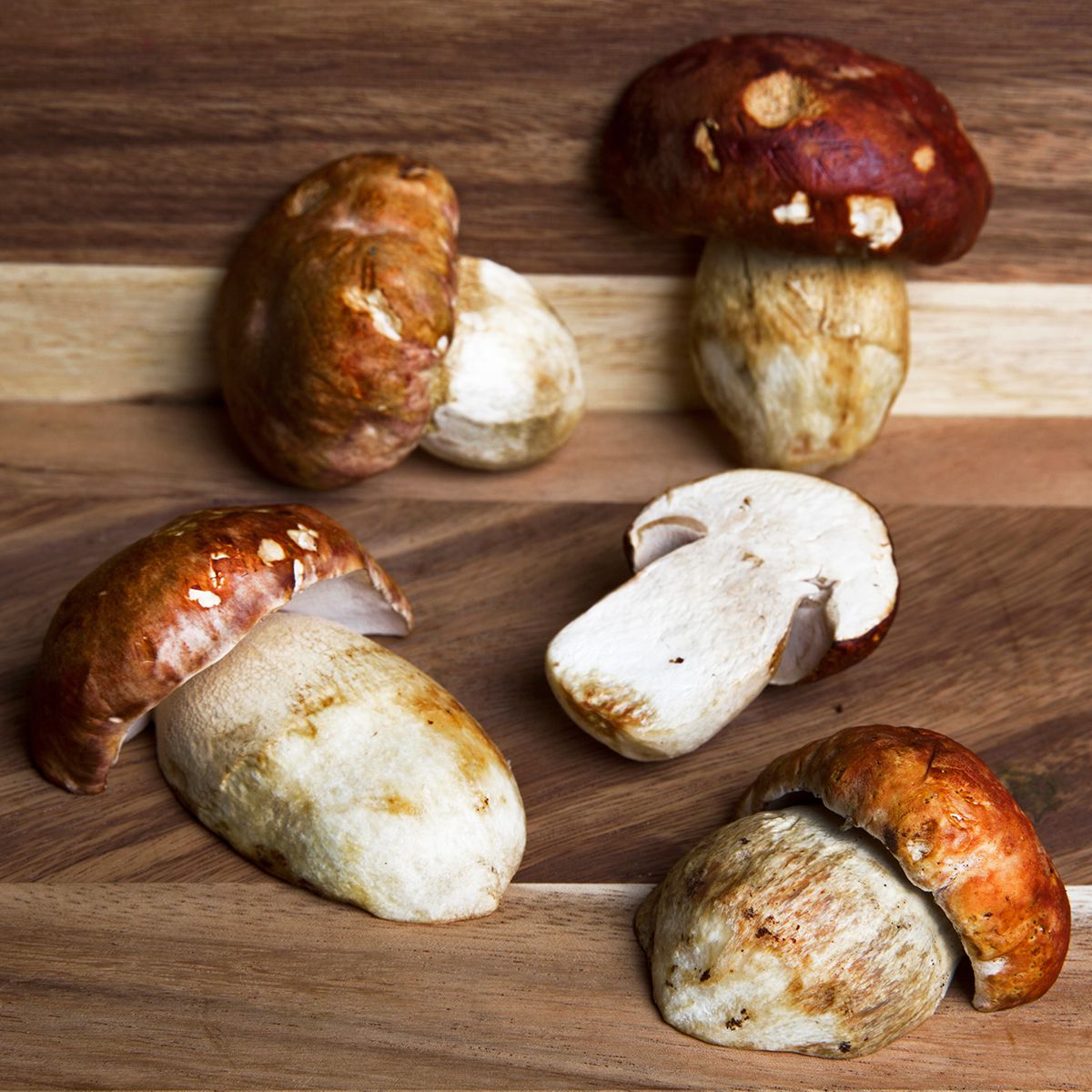 BoxNCase Grade No. 1 Porcini Mushrooms