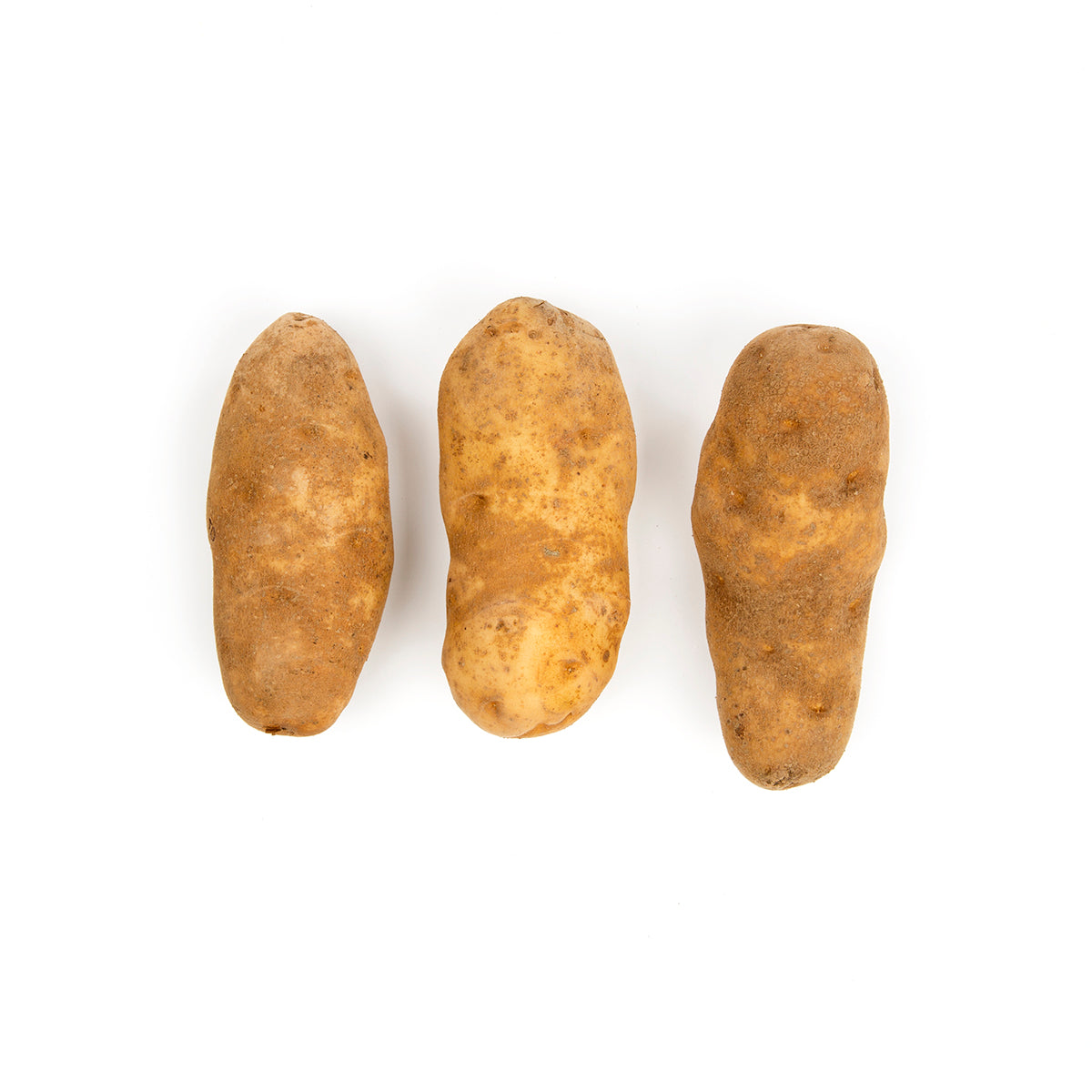 Green Thumb Farms White Envol Frying Potatoes 50 lb Bag