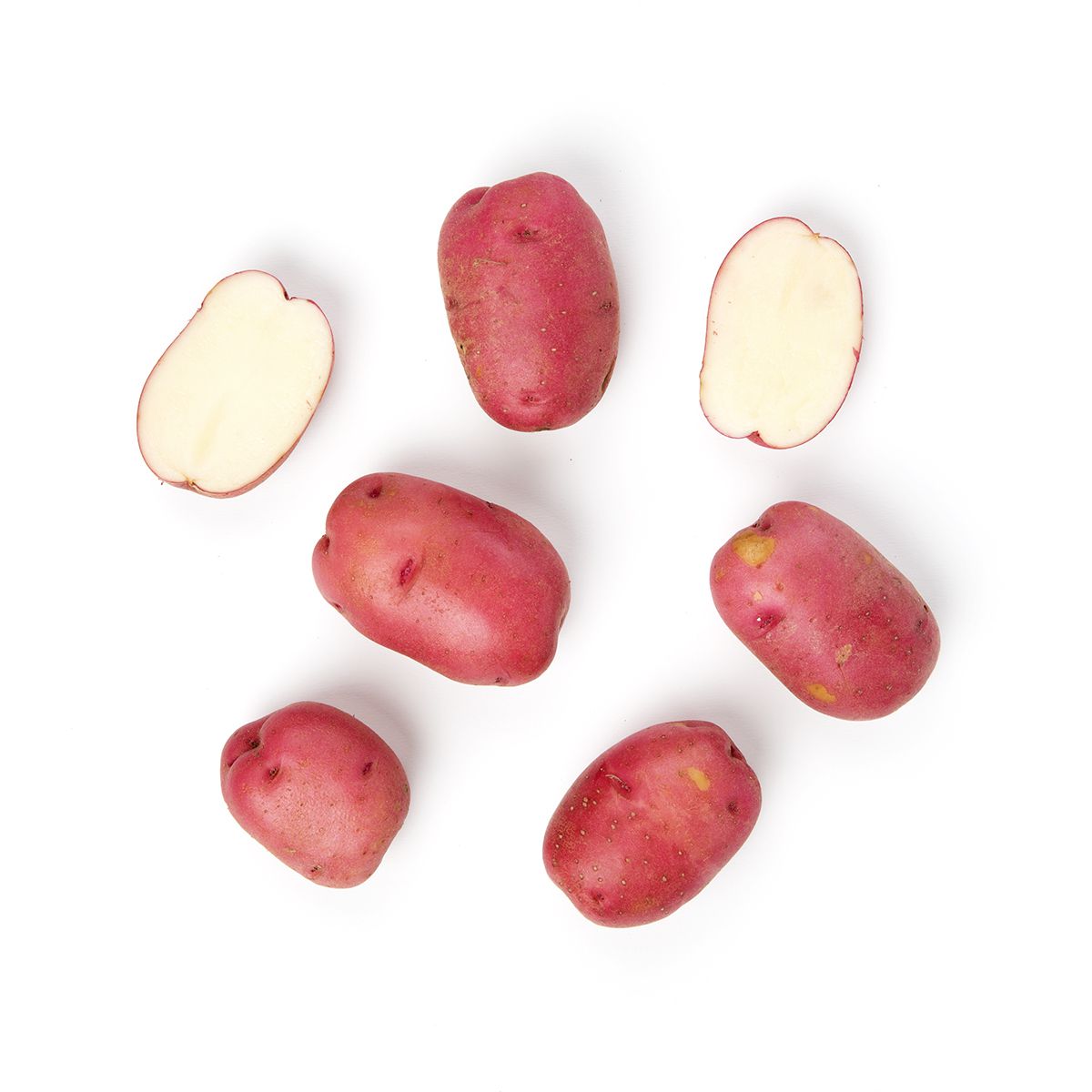 Wholesale BoxNCase Organic Red A Potatoes-50 LB Bulk
