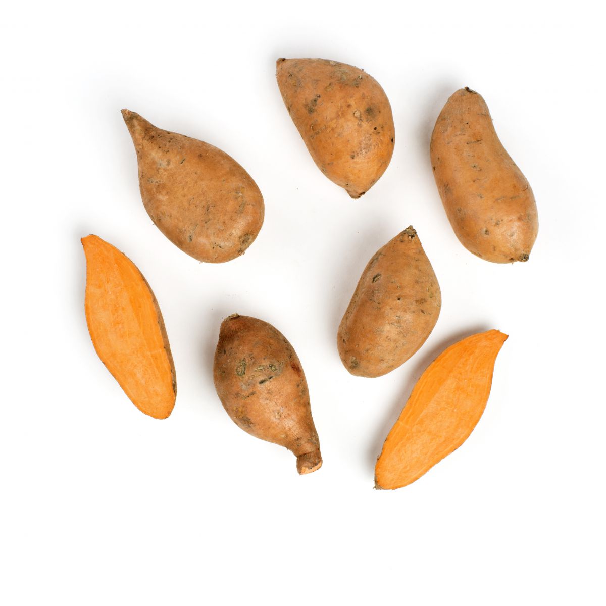 BoxNCase Medium Yams