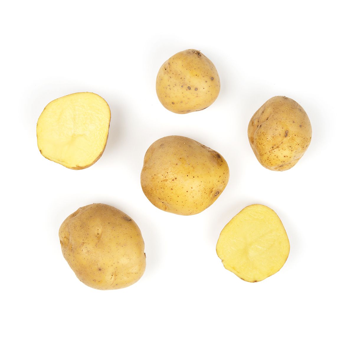 Wholesale BoxNCase Organic Yukon Potatoes-50 LB Bulk