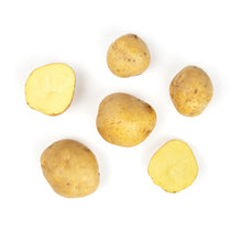 BoxNCase Organic Yukon Potatoes 3 LB