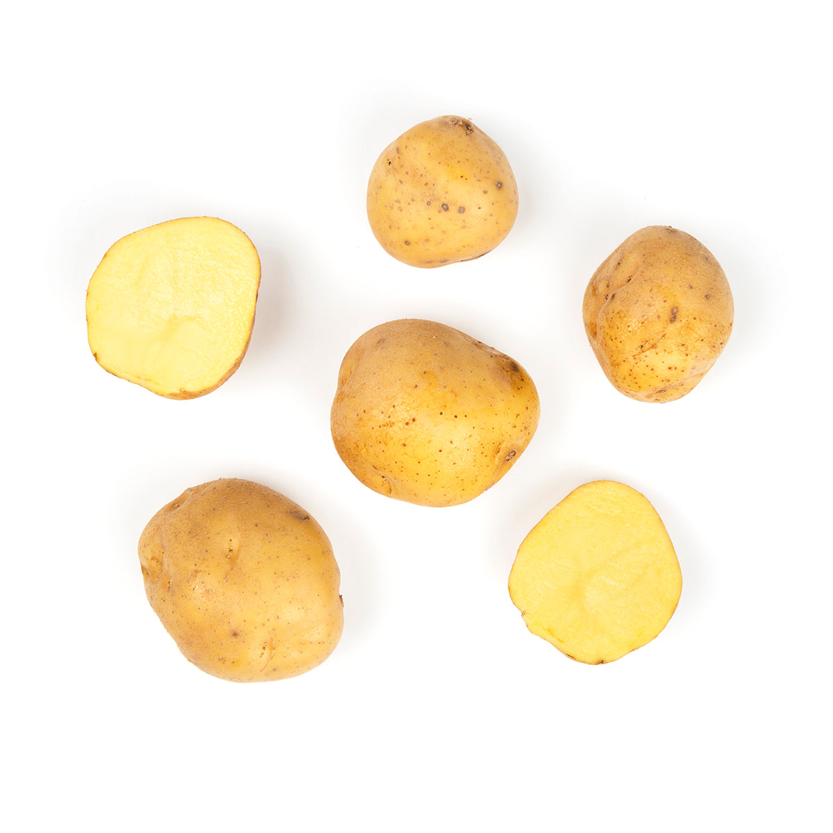 Wholesale Taproot Farm Organic German Butterball Potatoes-20 LB Bulk