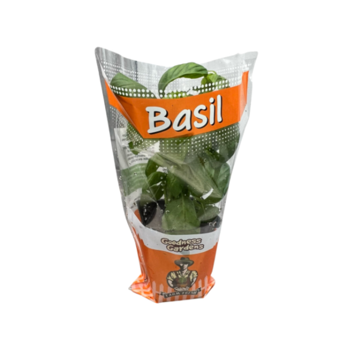 Goodness Gardens Potted Organic Basil 6 ct