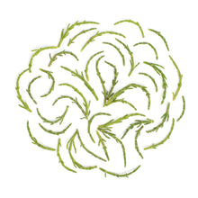 Wholesale BoxNCase Sea Beans- Bulk