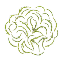 Wholesale BoxNCase Wild Sea Beans- Bulk