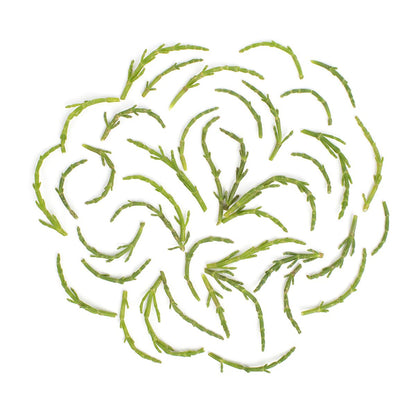 Great Value Black Beans 16oz 13ct