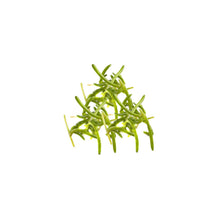 Wholesale Koppert Cress Salty Fingers- Bulk