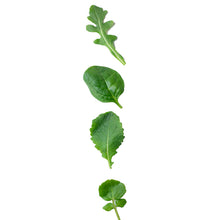 Wholesale B&W Power 4 Baby Leaf Blend- Bulk