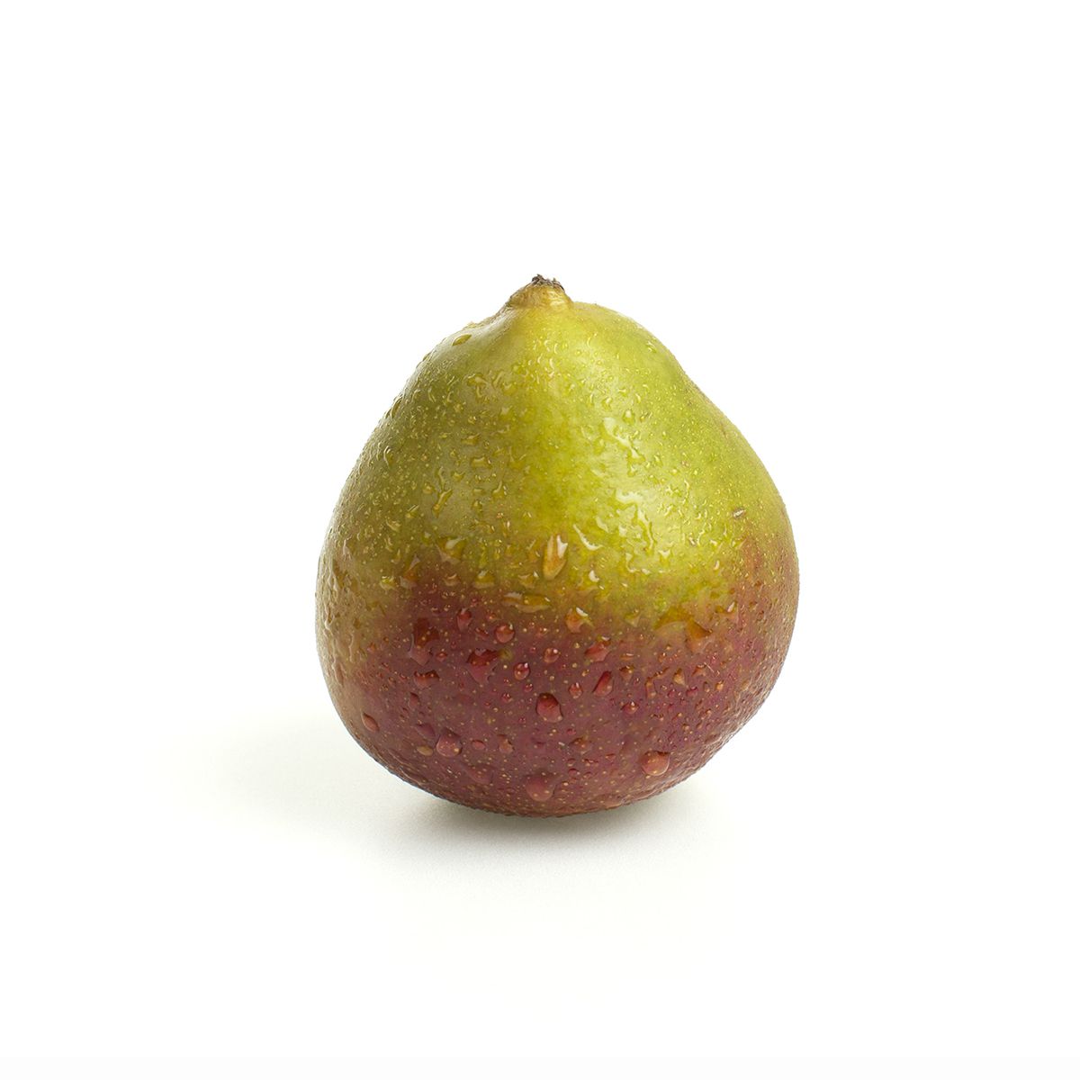 Wholesale BoxNCase Seckel Pears-20 LB Bulk