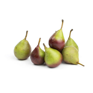 Wholesale Hudson River Fruit Seckel Pears-1/2 BSH Bulk