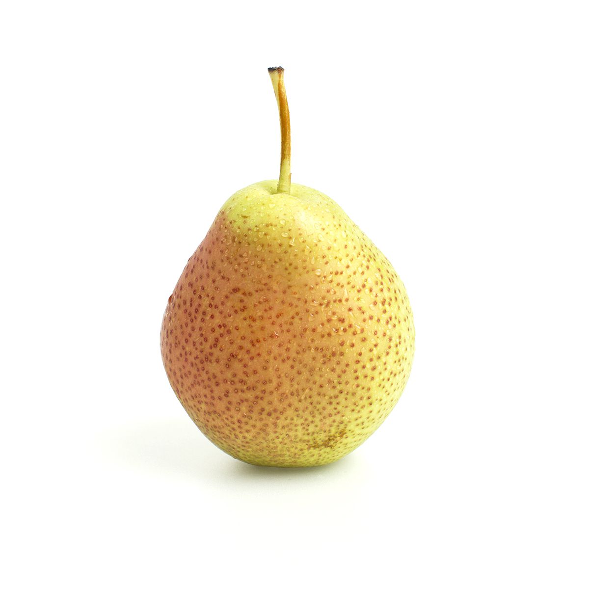 Wholesale BoxNCase Forelle Pears- Bulk