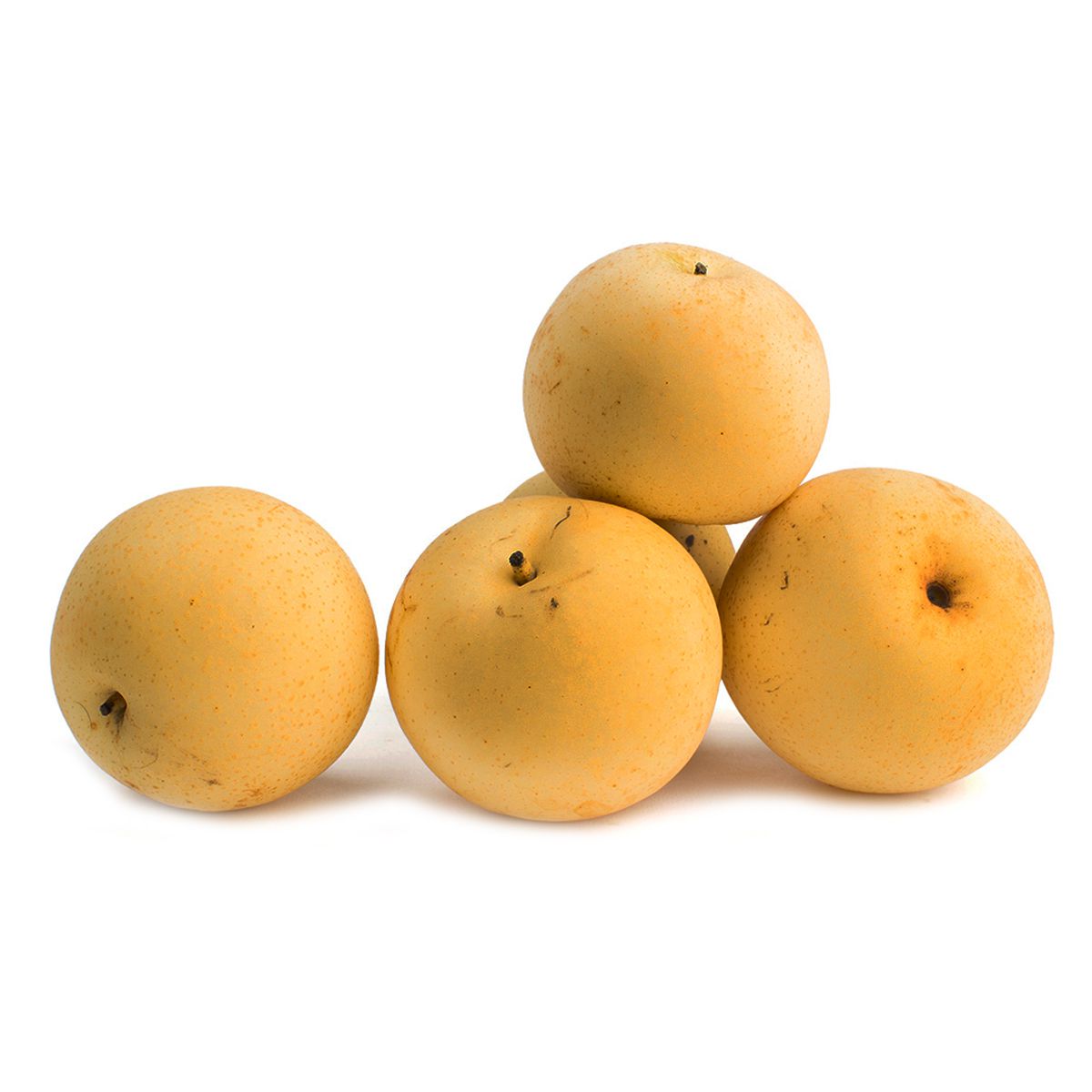 Wholesale Subarashii Kudamono Asian Pears-16-18 CT Bulk