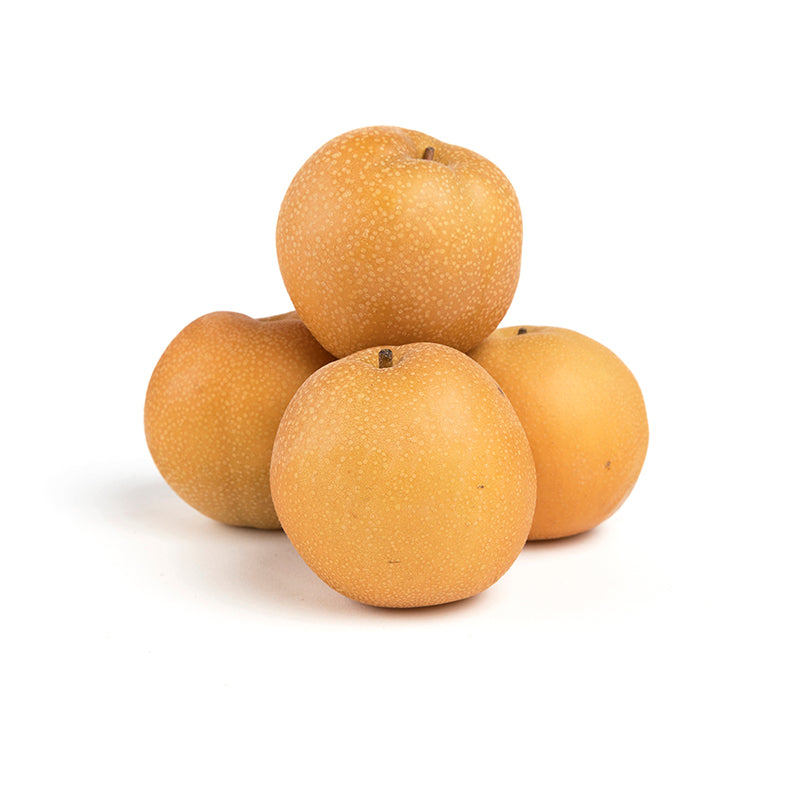 Wholesale Evergreen Orchard Farm Asian Pears- Bulk