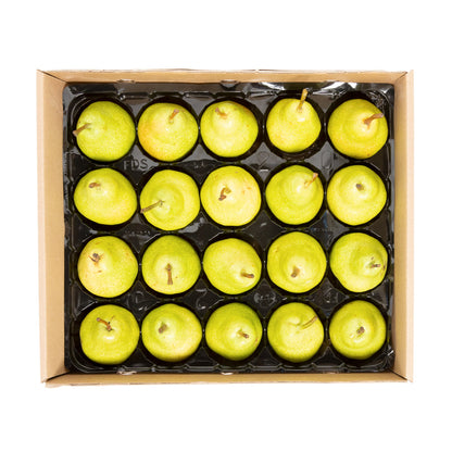 Wholesale BoxNCase Panta-Pack Bartlett Pears- Bulk