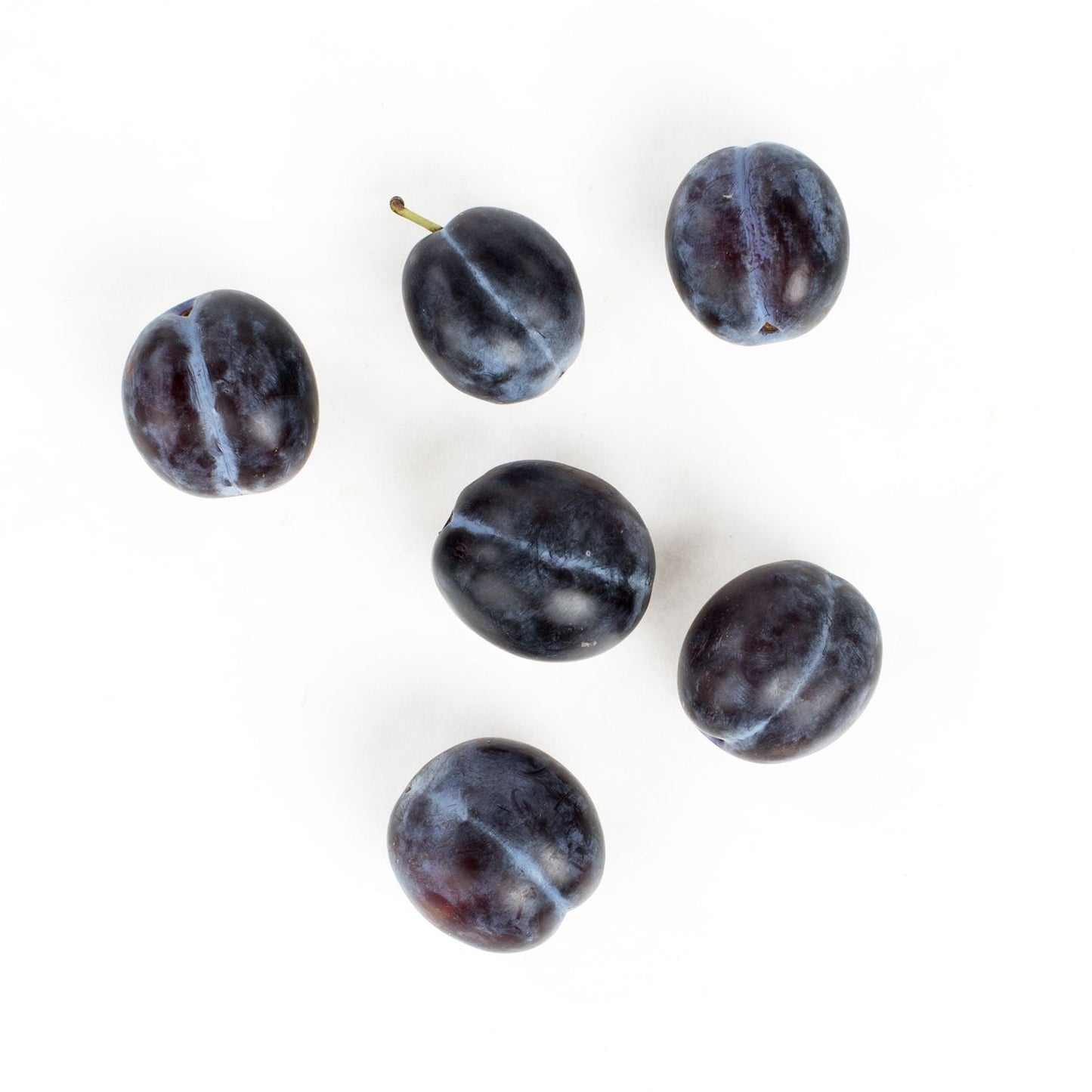 Wholesale BoxNCase Empress Prune Plums- Bulk