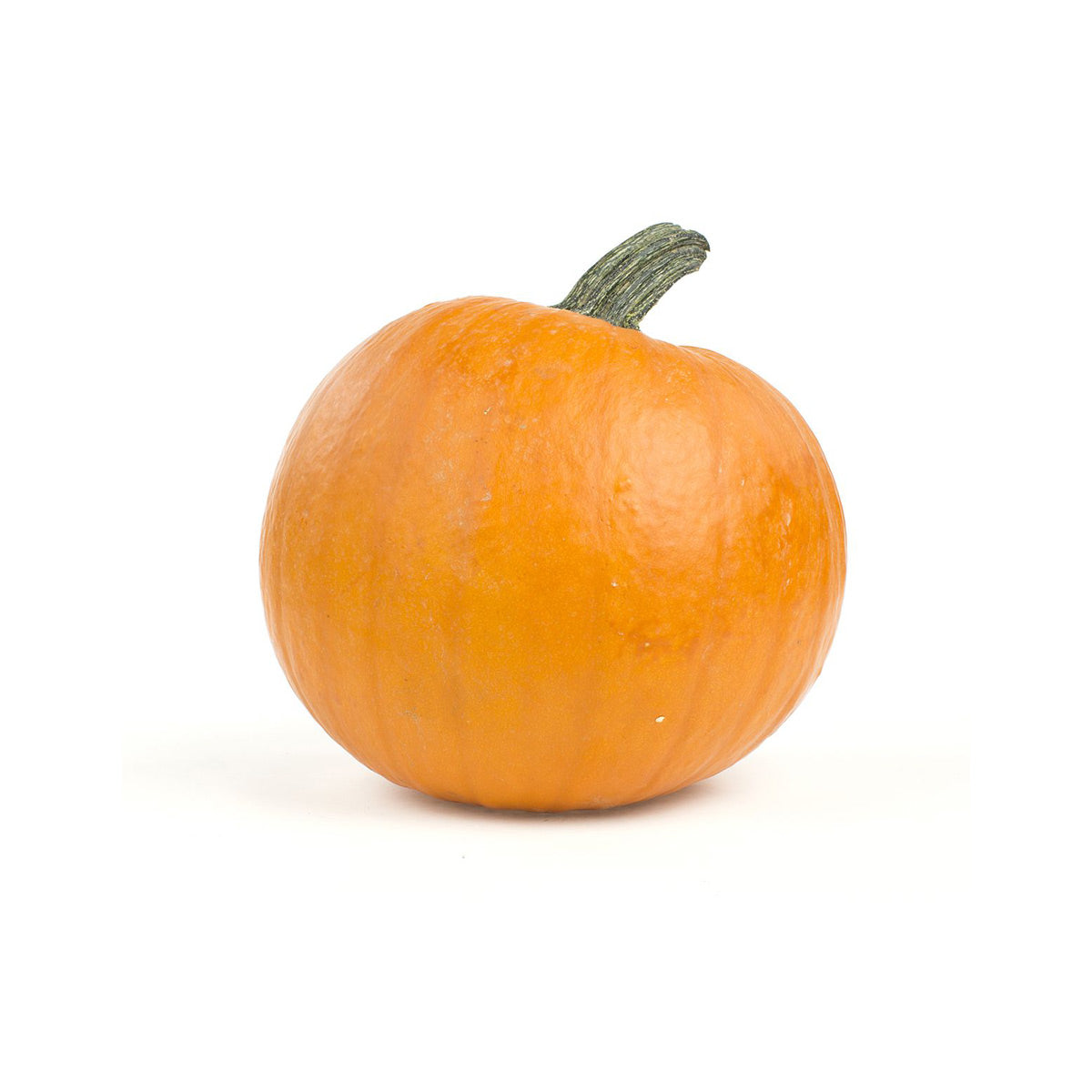 Wholesale BoxNCase Small Pumpkin 5-10 LB- Bulk