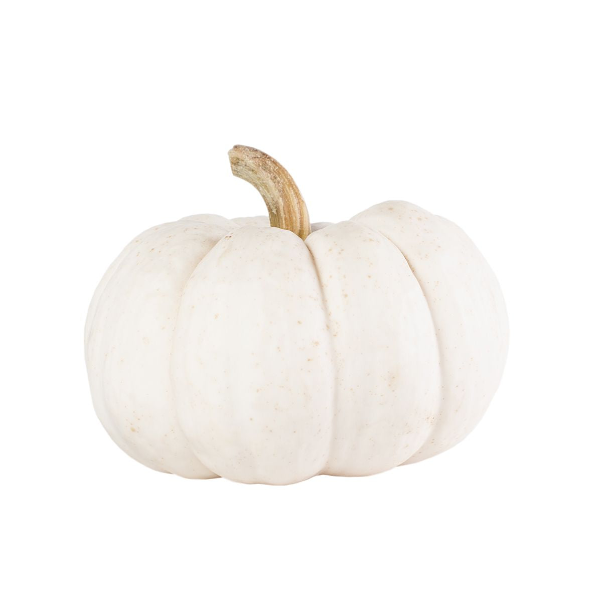 BoxNCase White Pumpkin