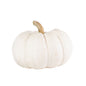 BoxNCase White Pumpkin