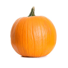 Wholesale BoxNCase Big Mac Pumpkins-100-125 LB Bulk