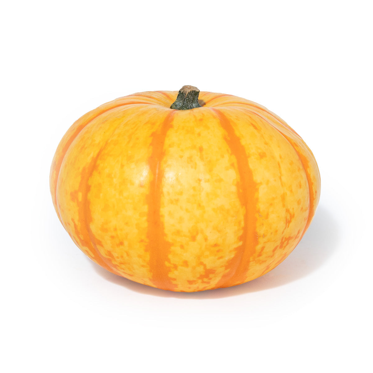 Wholesale BoxNCase Orange Stripe Royalty Pumpkins- Bulk