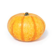 Wholesale BoxNCase Orange Stripe Royalty Pumpkins- Bulk