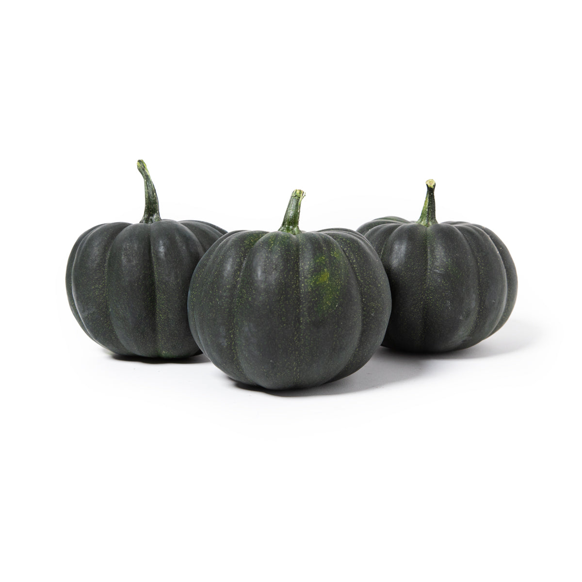 BoxNCase Noche Pumpkins