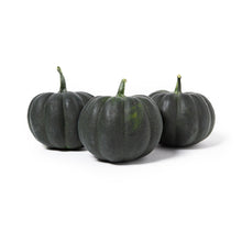 BoxNCase Noche Pumpkins