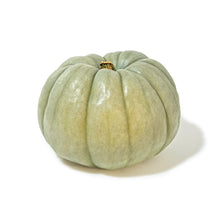 Wholesale BoxNCase Blue Doll Pumpkins- Bulk