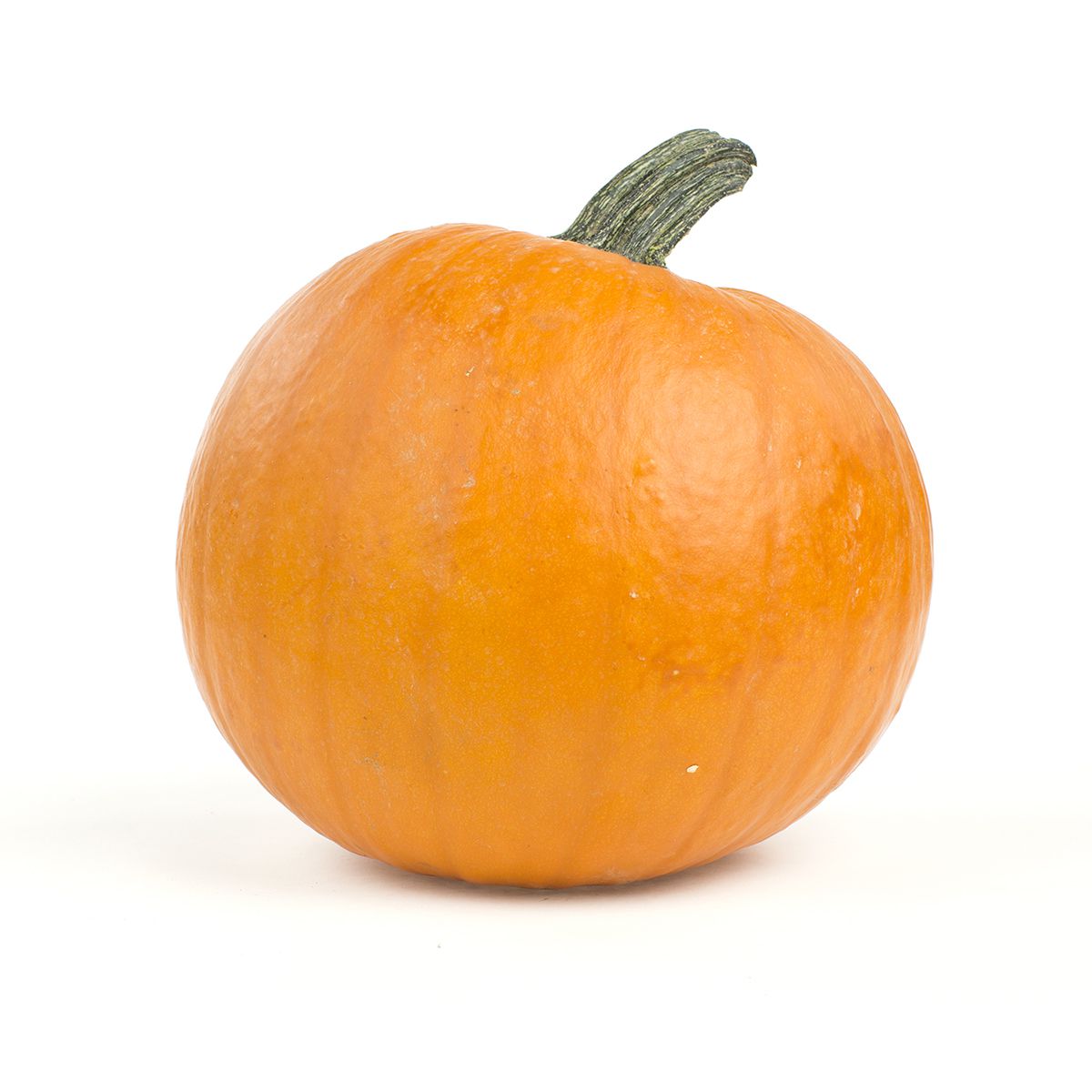 Wholesale BoxNCase Small Pumpkins- Bulk