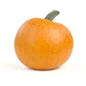 Wholesale BoxNCase Small Pumpkins- Bulk