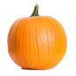 Wholesale BoxNCase Extra Large Pumpkin 30-34 LB- Bulk