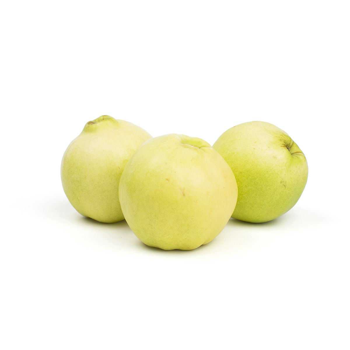 Wholesale BoxNCase Quince- Bulk