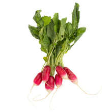 Wholesale Lancaster Farm Fresh Organic French Breakfast Radishes- Bulk