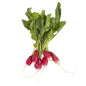 Wholesale BoxNCase French Breakfast Radishes- Bulk