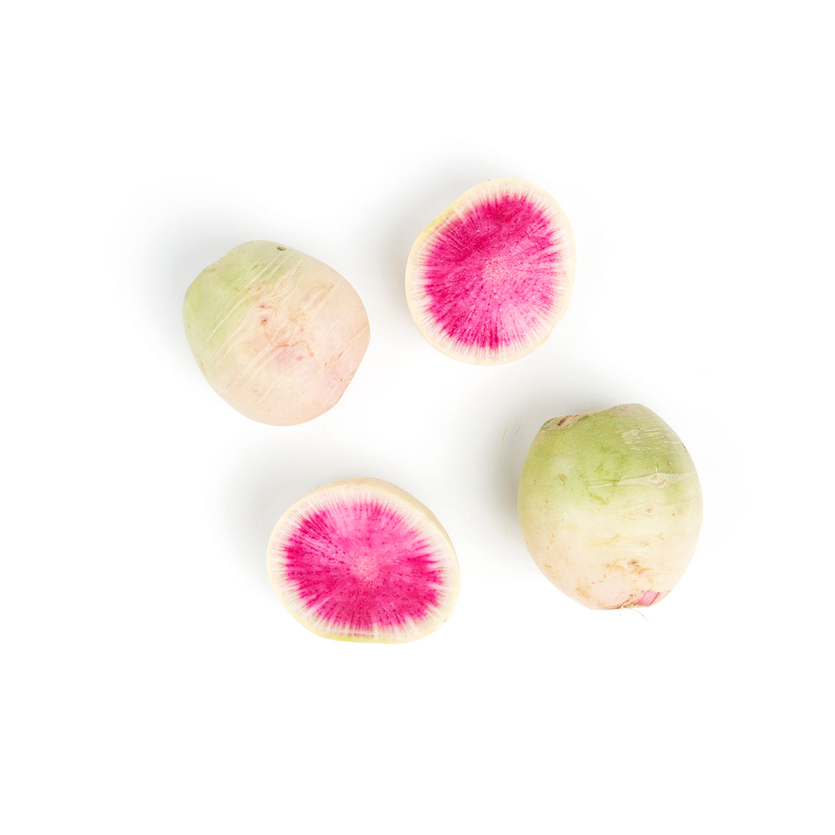 Wholesale Taproot Farm Organic Watermelon Radishes- Bulk