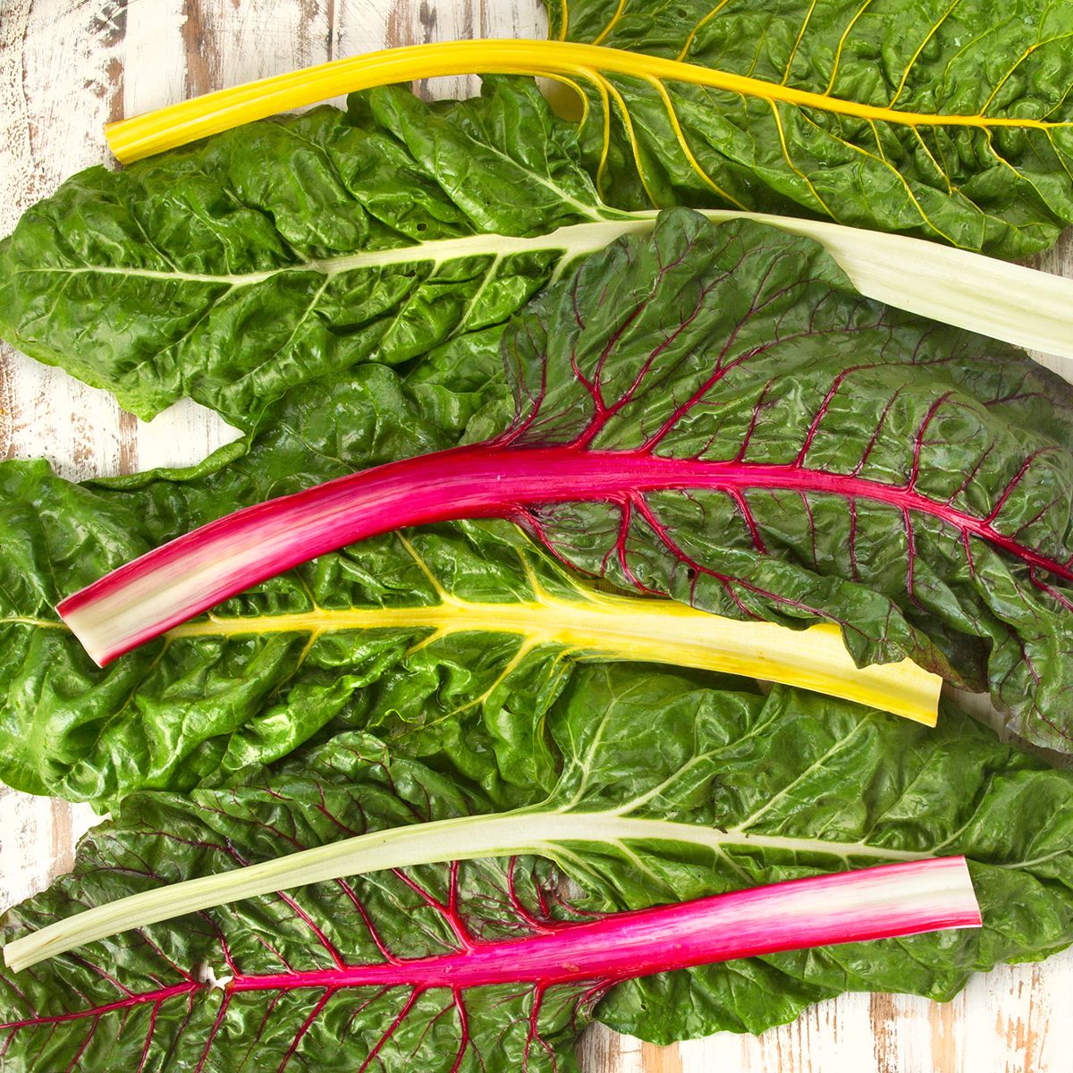 BoxNCase Organic Rainbow Swiss Chard